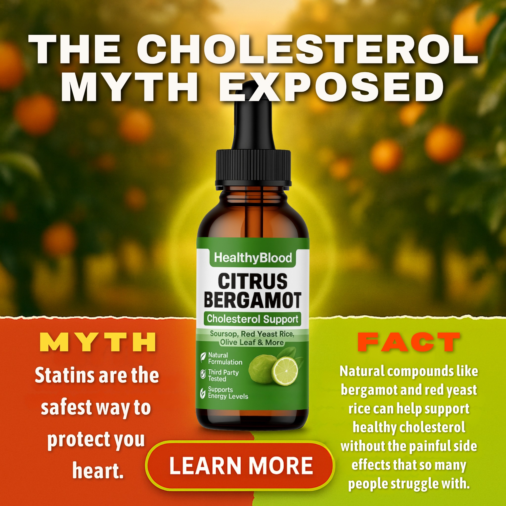 Gethealthyblood Facebook ad