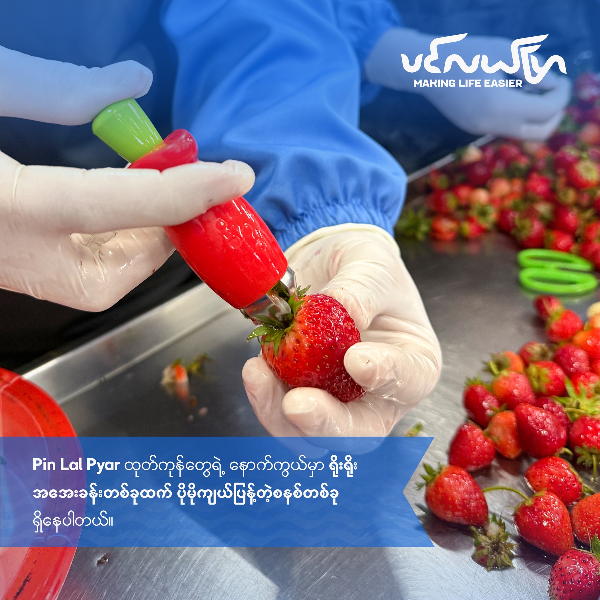 Pin Lal Pyar - Frozen Food Manufacturing Facebook ad: Retail နဲ့ B2B ဝယ်ယူသူတွေအတွက် ယုံကြည်မှုဆိုတာ…