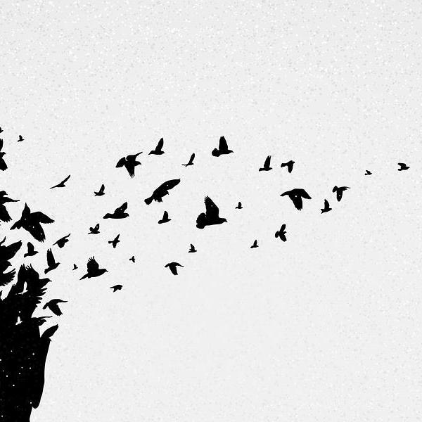 Russell Carr Author Facebook ad: A Psychiatrist and War