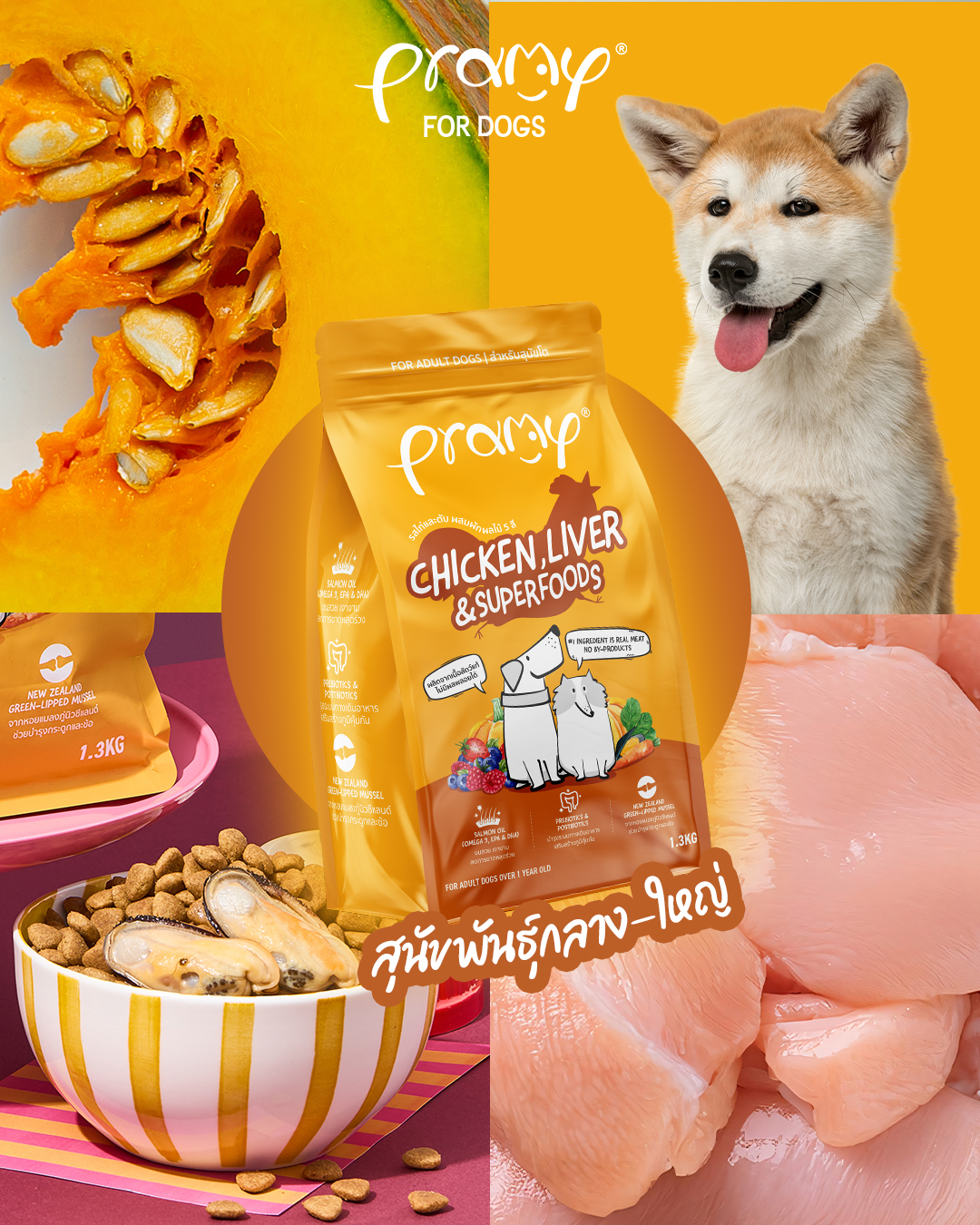 PRAMY PRAMA อาหารสุนัขพรามี่ พราม่า Facebook ad