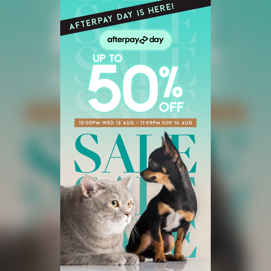Modern Pets Facebook ad