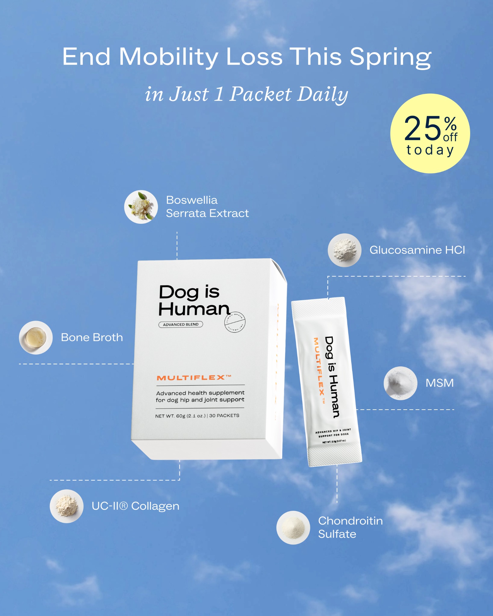 Dog is Human Facebook ad