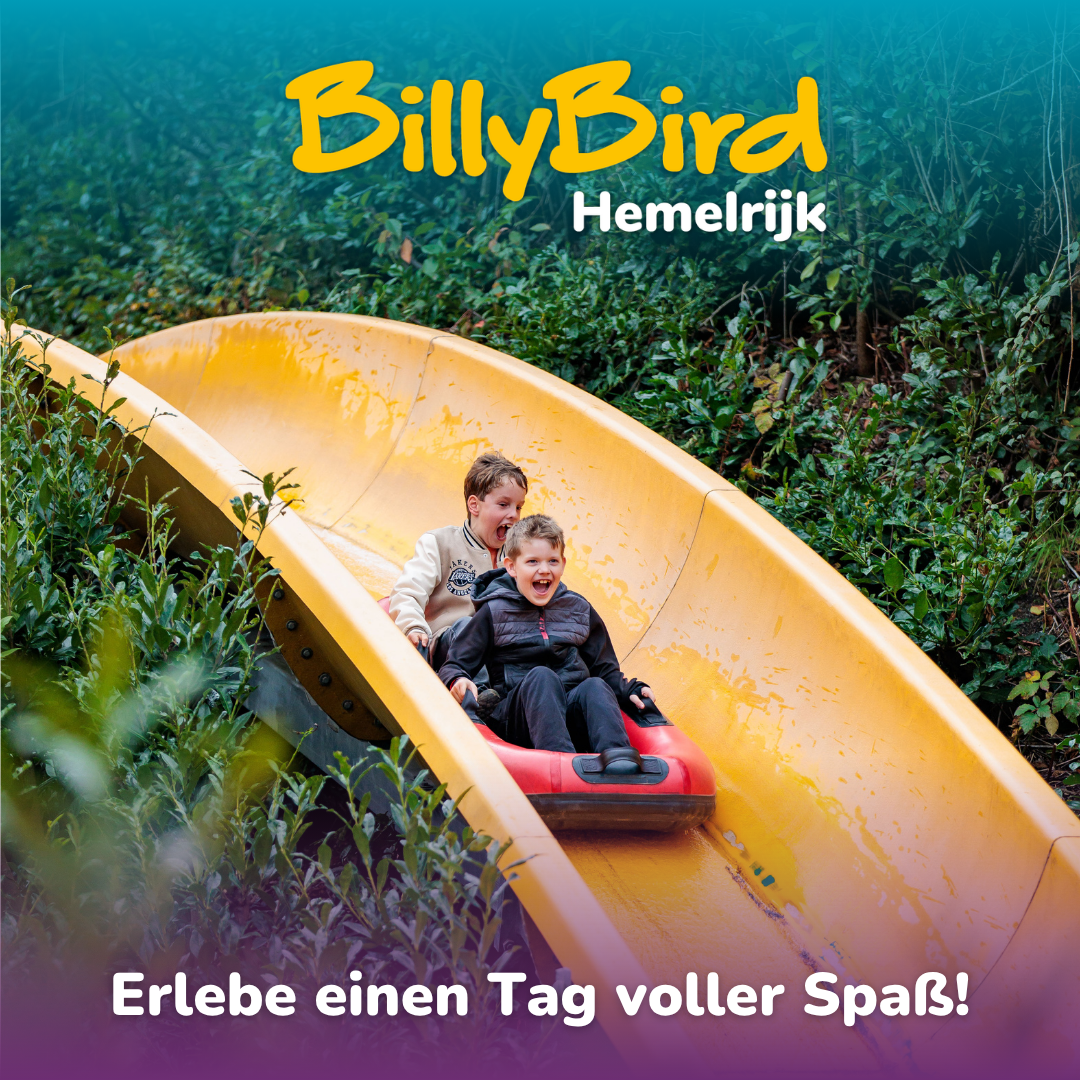 BillyBird Hemelrijk Facebook ad