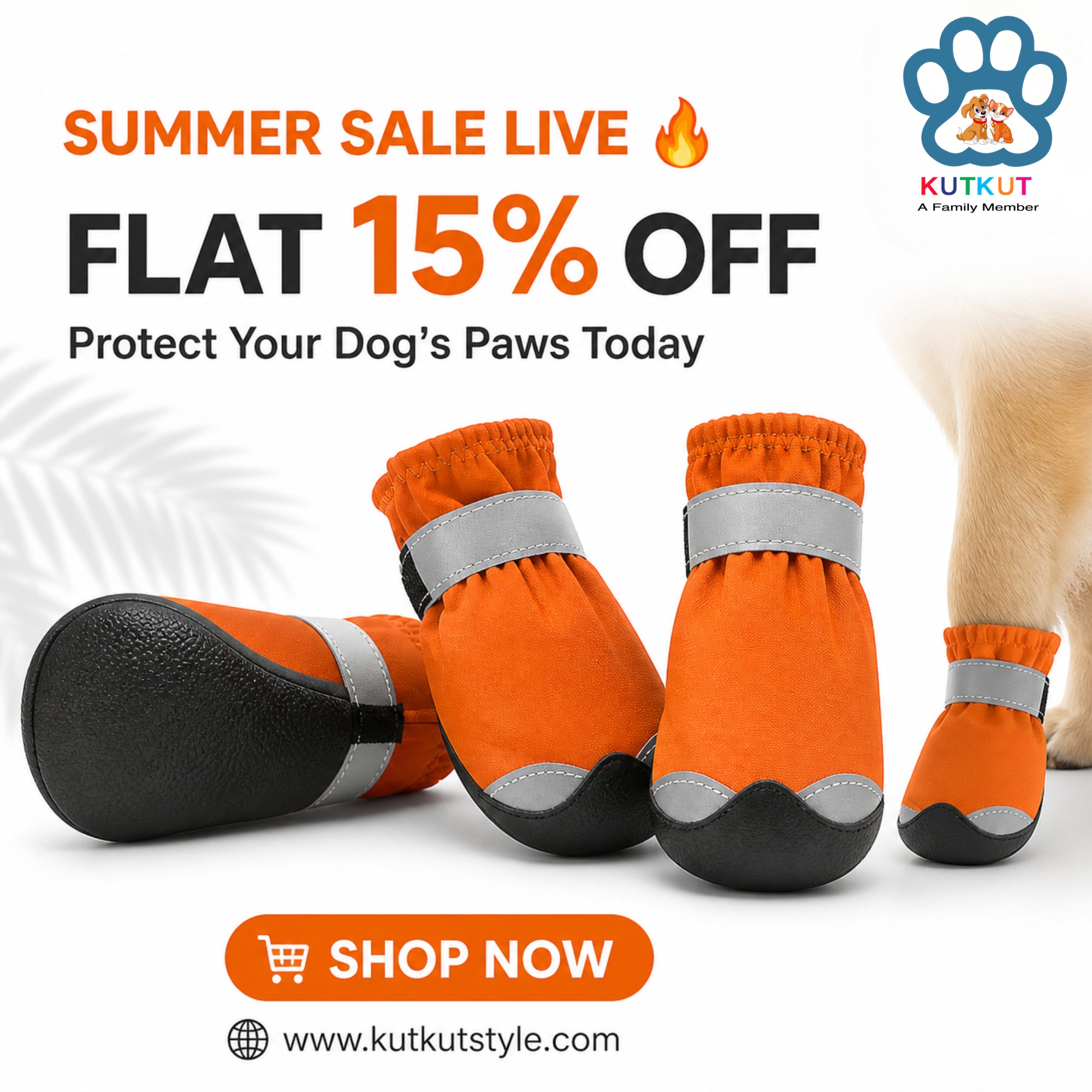 Kutkut Pet Cares Facebook ad