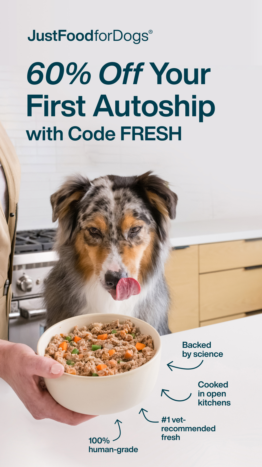 Just Food For Dogs Facebook ad