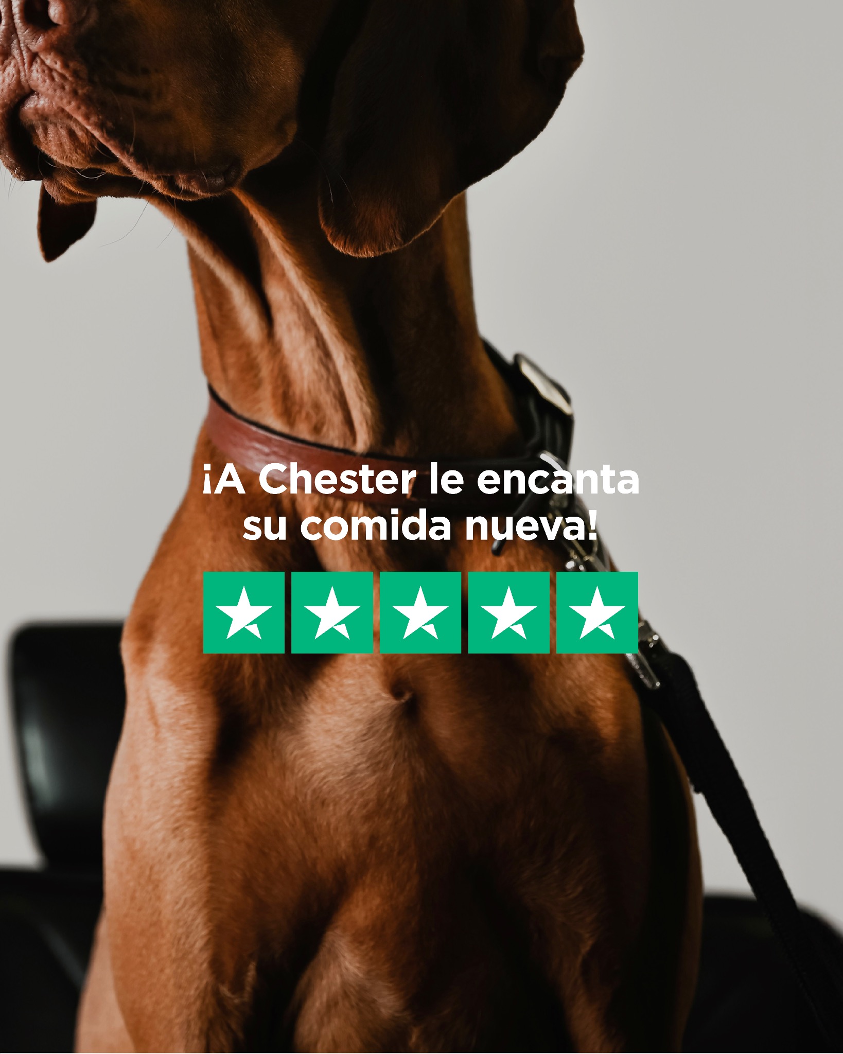 Amanova Pet Food Facebook ad