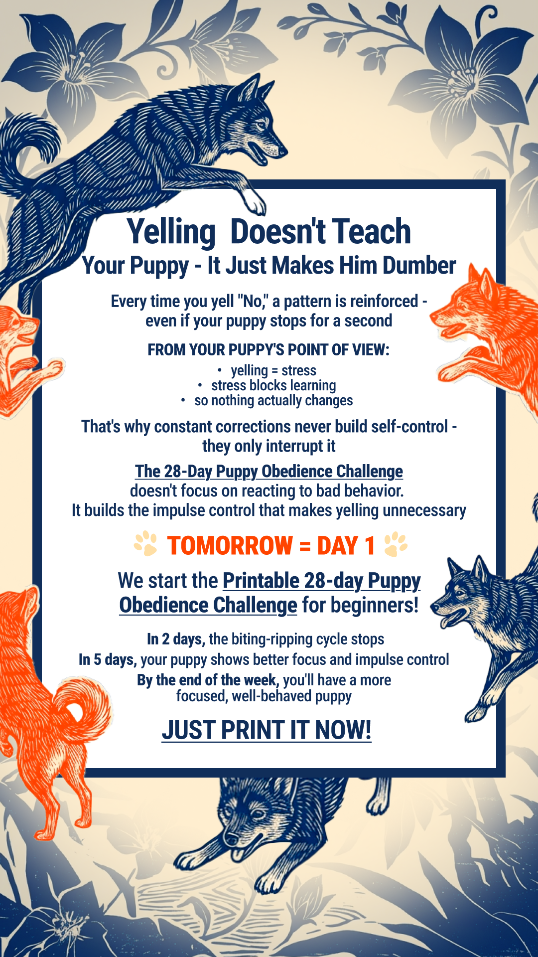 Woofz Facebook ad