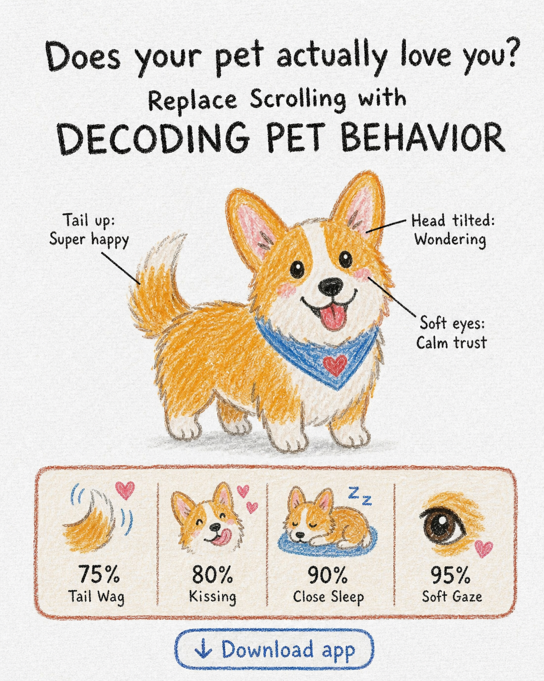 Nibble Facebook ad