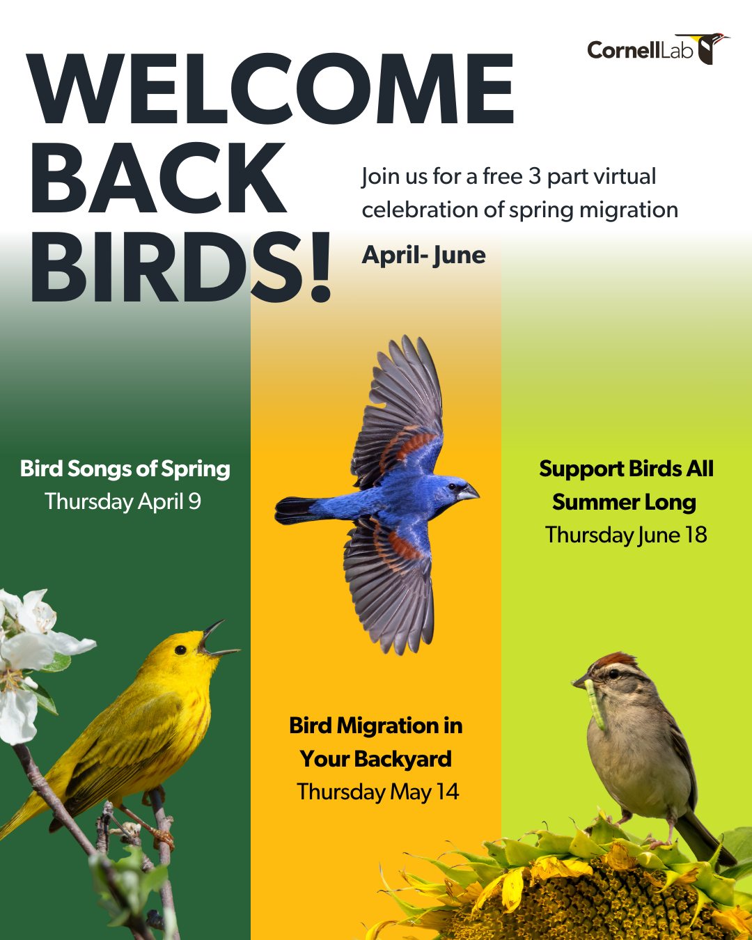 Cornell Lab of Ornithology Facebook ad: Register for Welcome Back Birds! Live Event Series