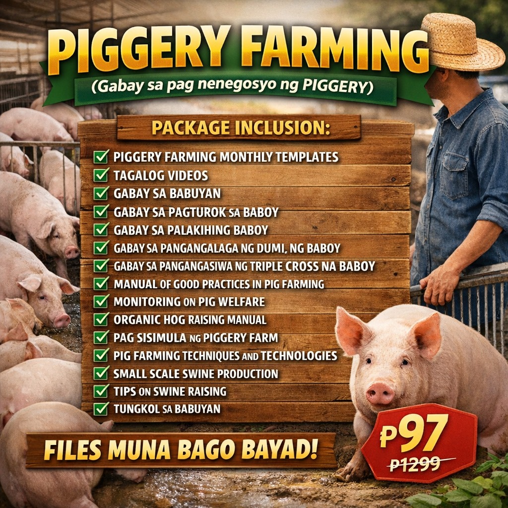 File Nation HUB Facebook ad: Gusto mo bang kumita sa babuyan pero di…