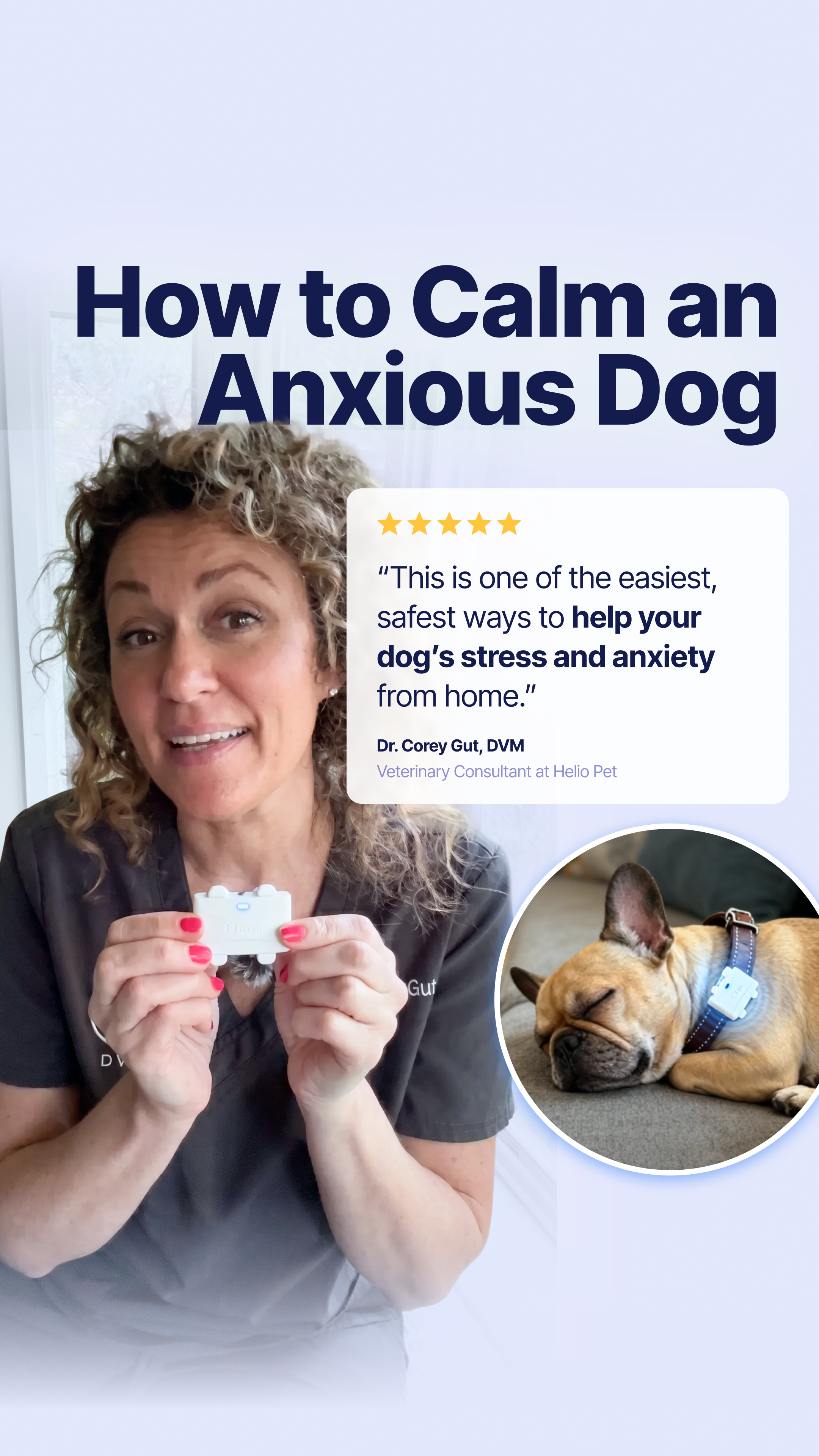 Helio Pet Facebook ad