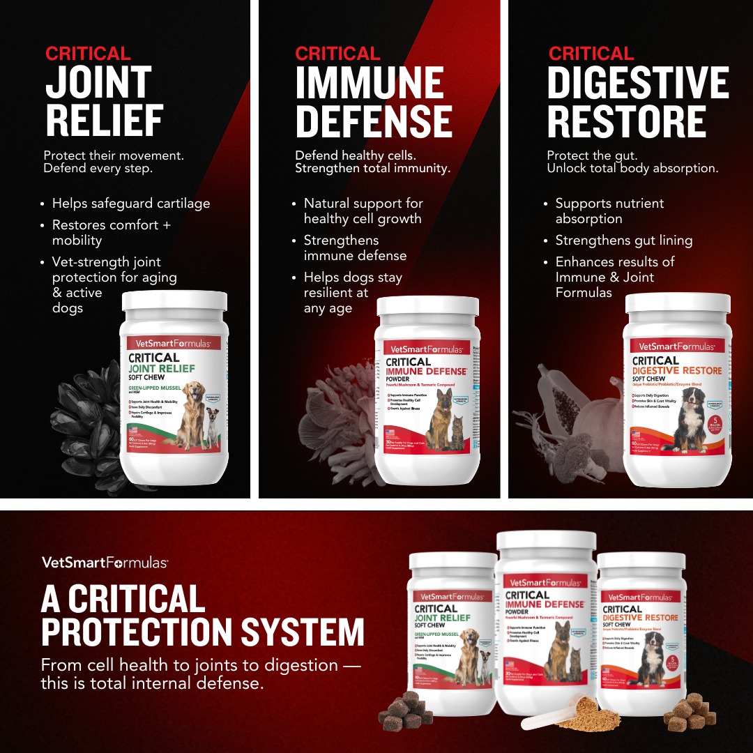 Pet Wellness Direct Facebook ad