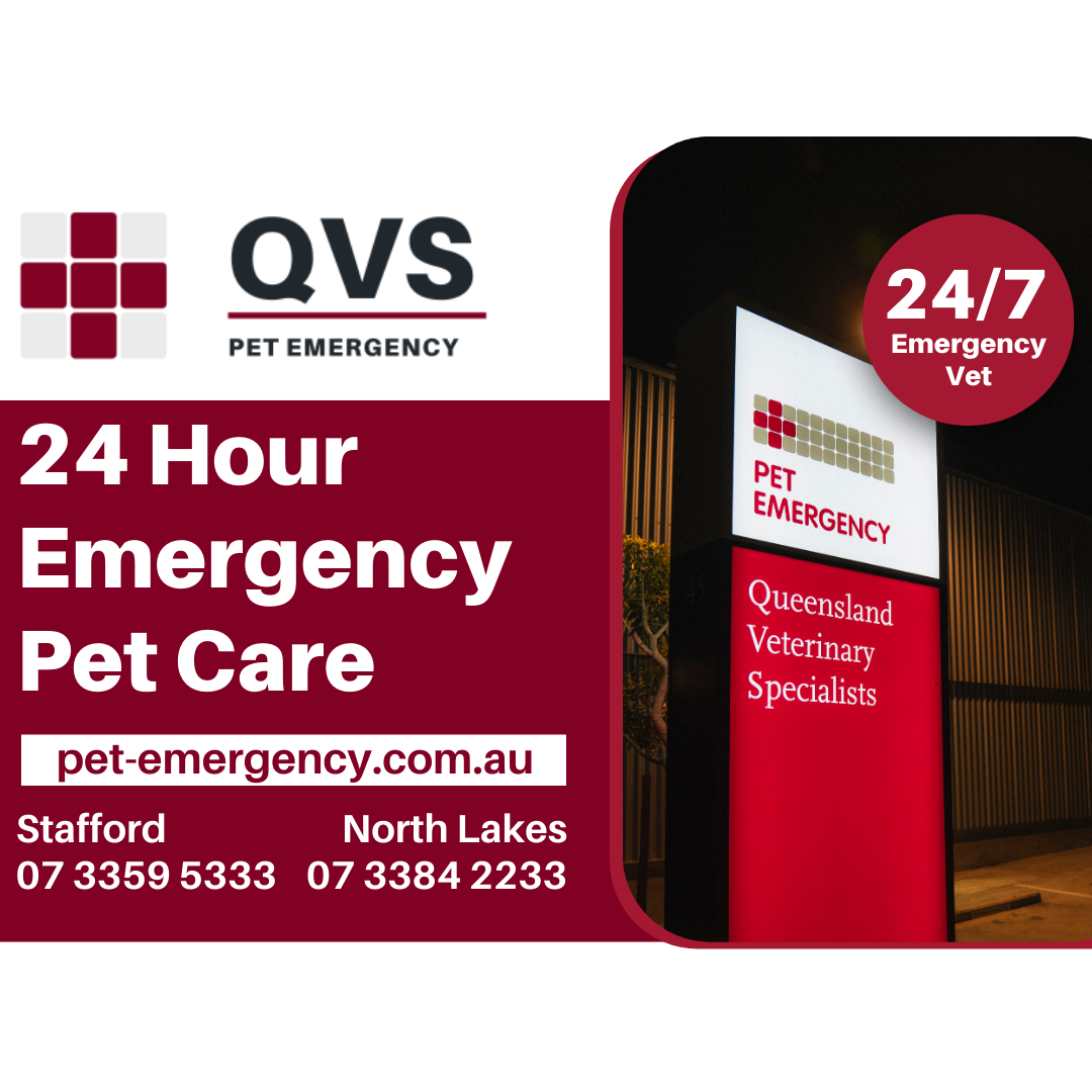 Queensland Veterinary Specialists Facebook ad