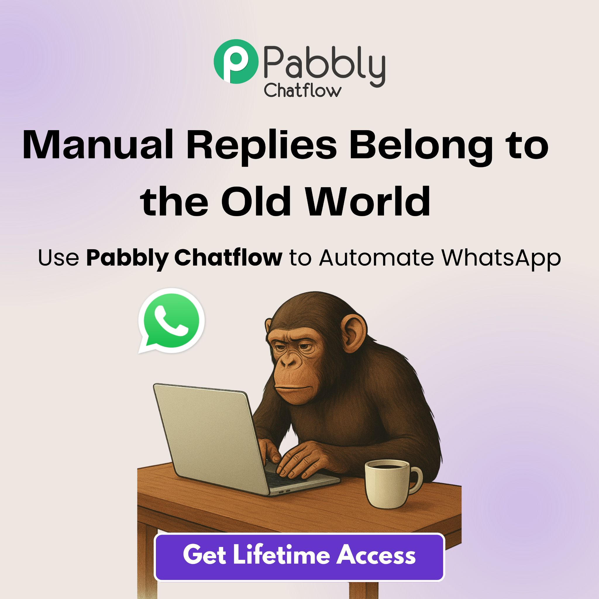 Pabbly Chatflow Facebook ad