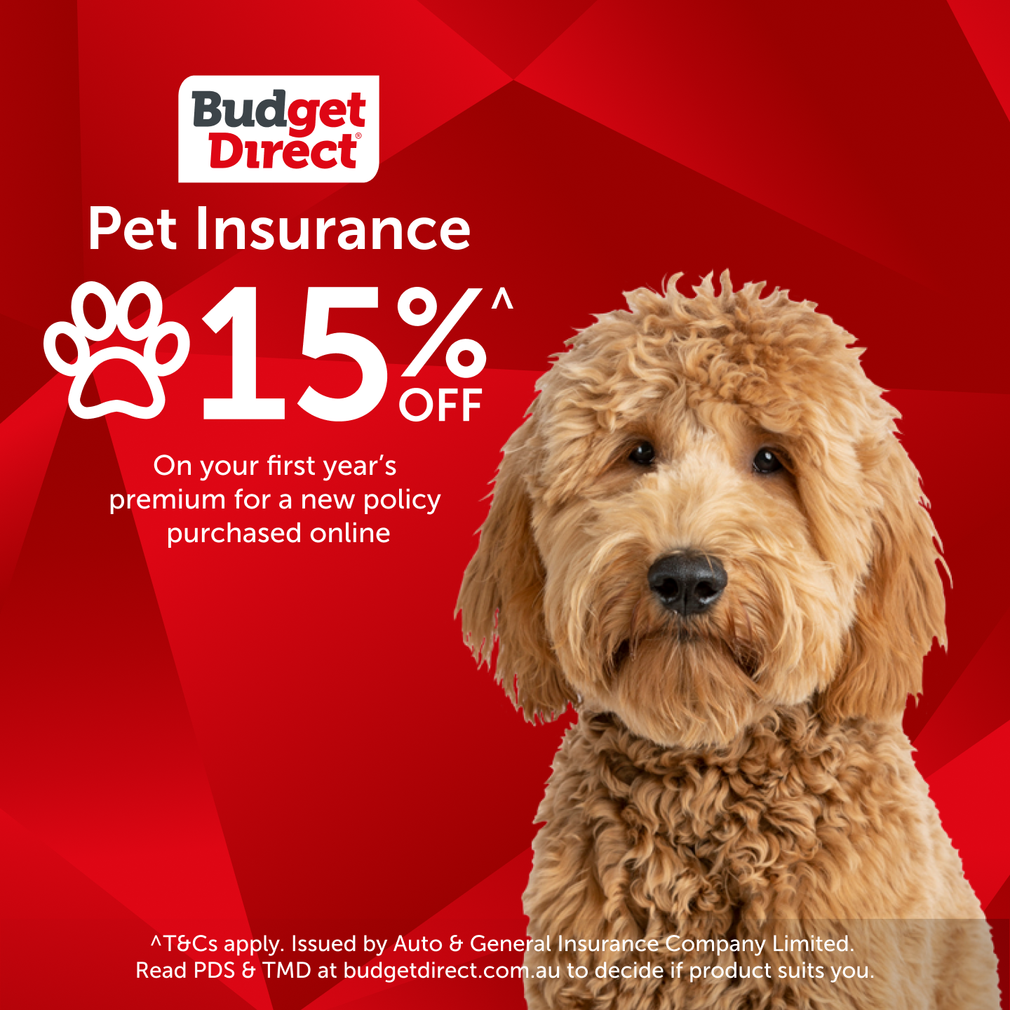 Budget Direct Facebook ad