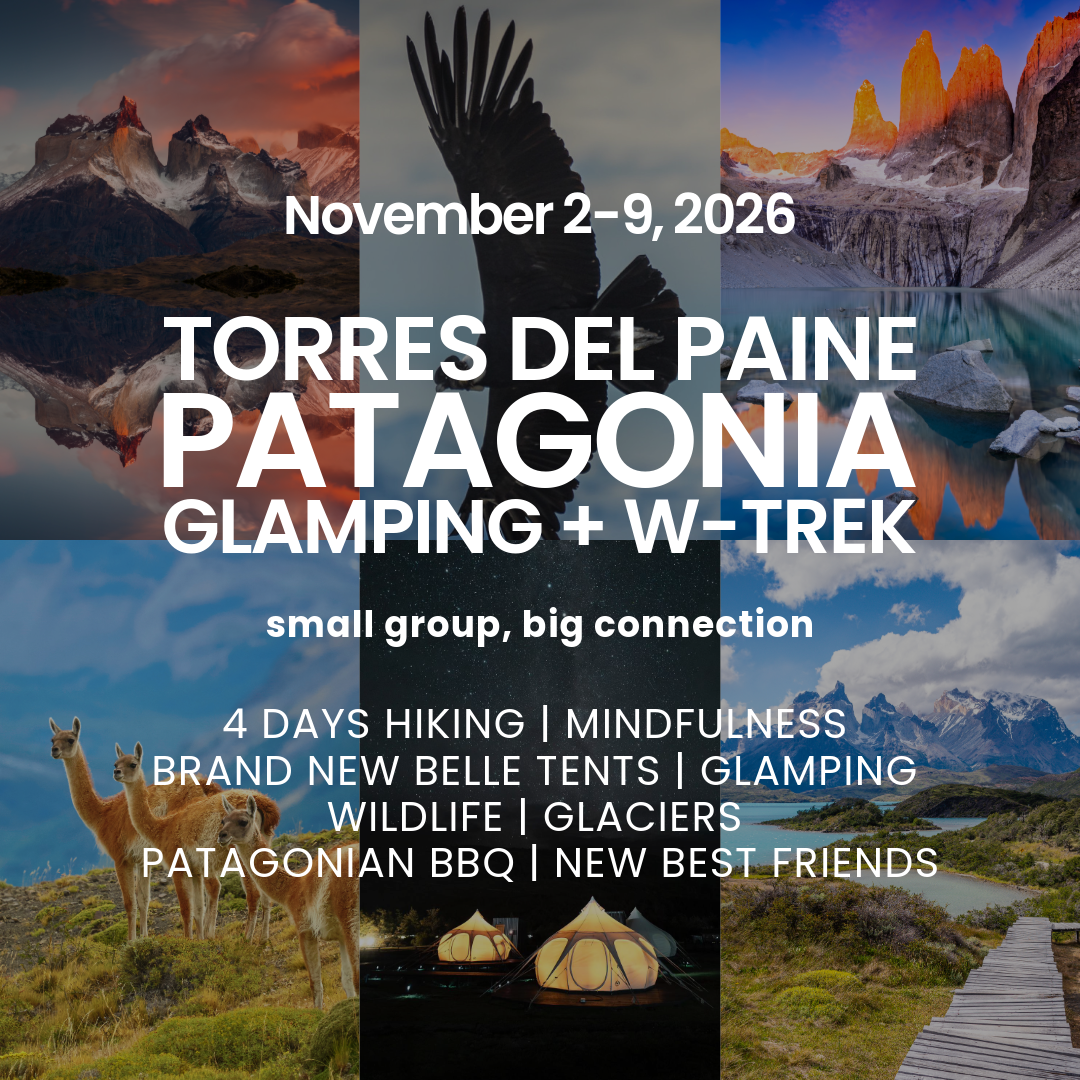 Root Adventures Facebook ad: Patagonia W-Trek • Nov 2-9, 2026