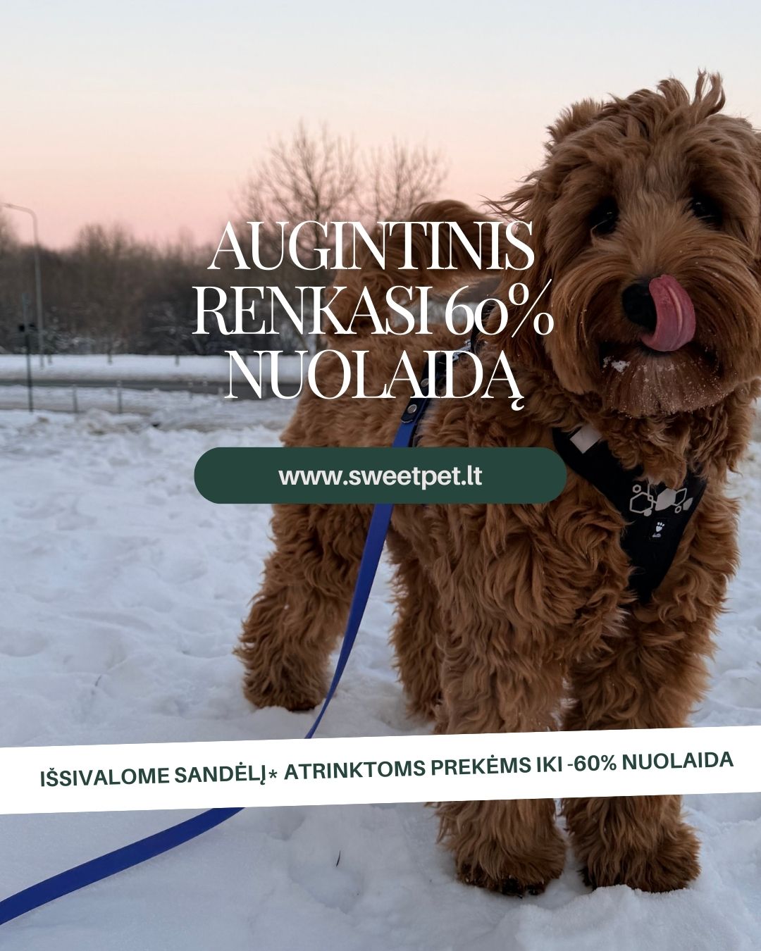 Sweet Pet Facebook ad