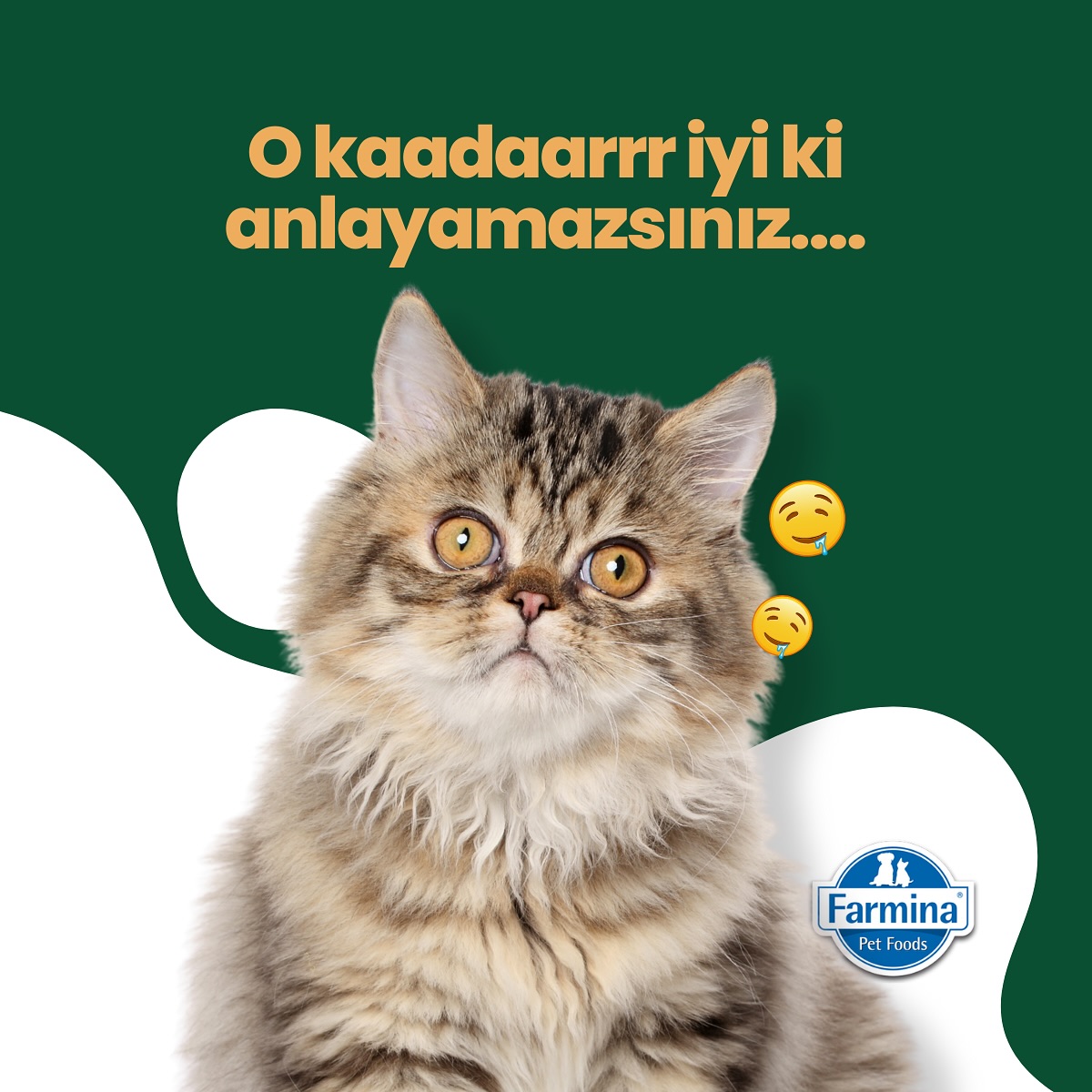 Farmina Türkiye Facebook ad: N&D Ancestral Grain petinizin gerçek doğasına uygun bir…