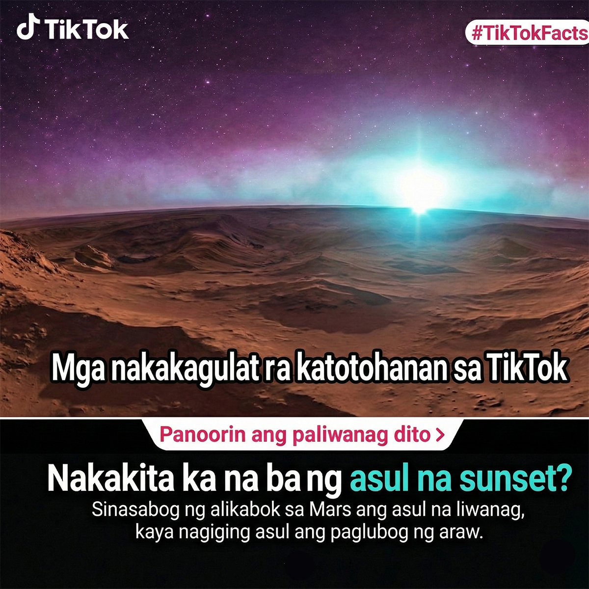 TikTok- Global Facebook ad