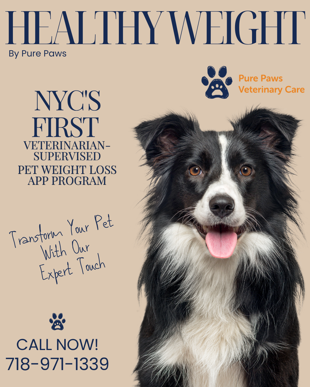 Pure Paws Veterinary Care of Hudson Square Facebook ad: Enrollment Fee: $300