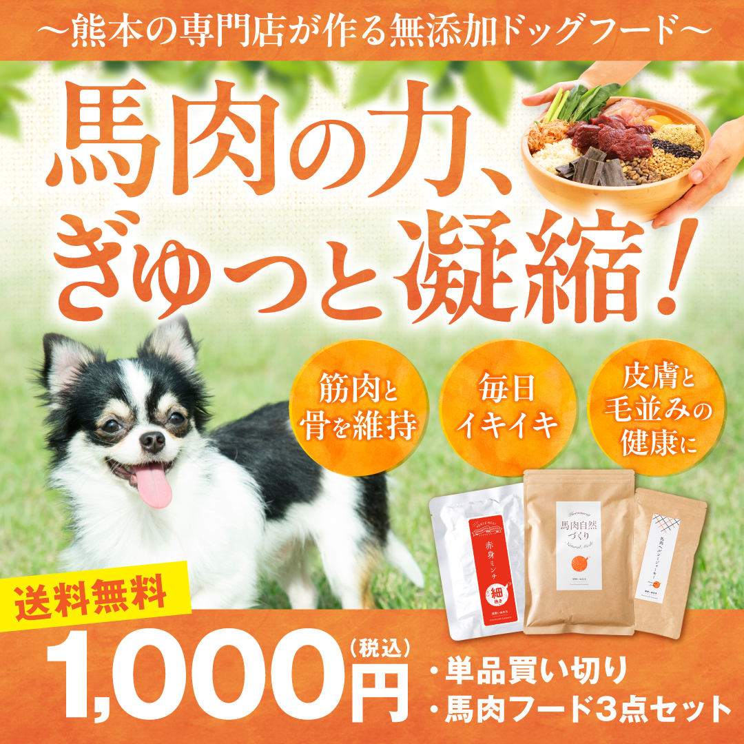 健康いぬ生活 Facebook ad