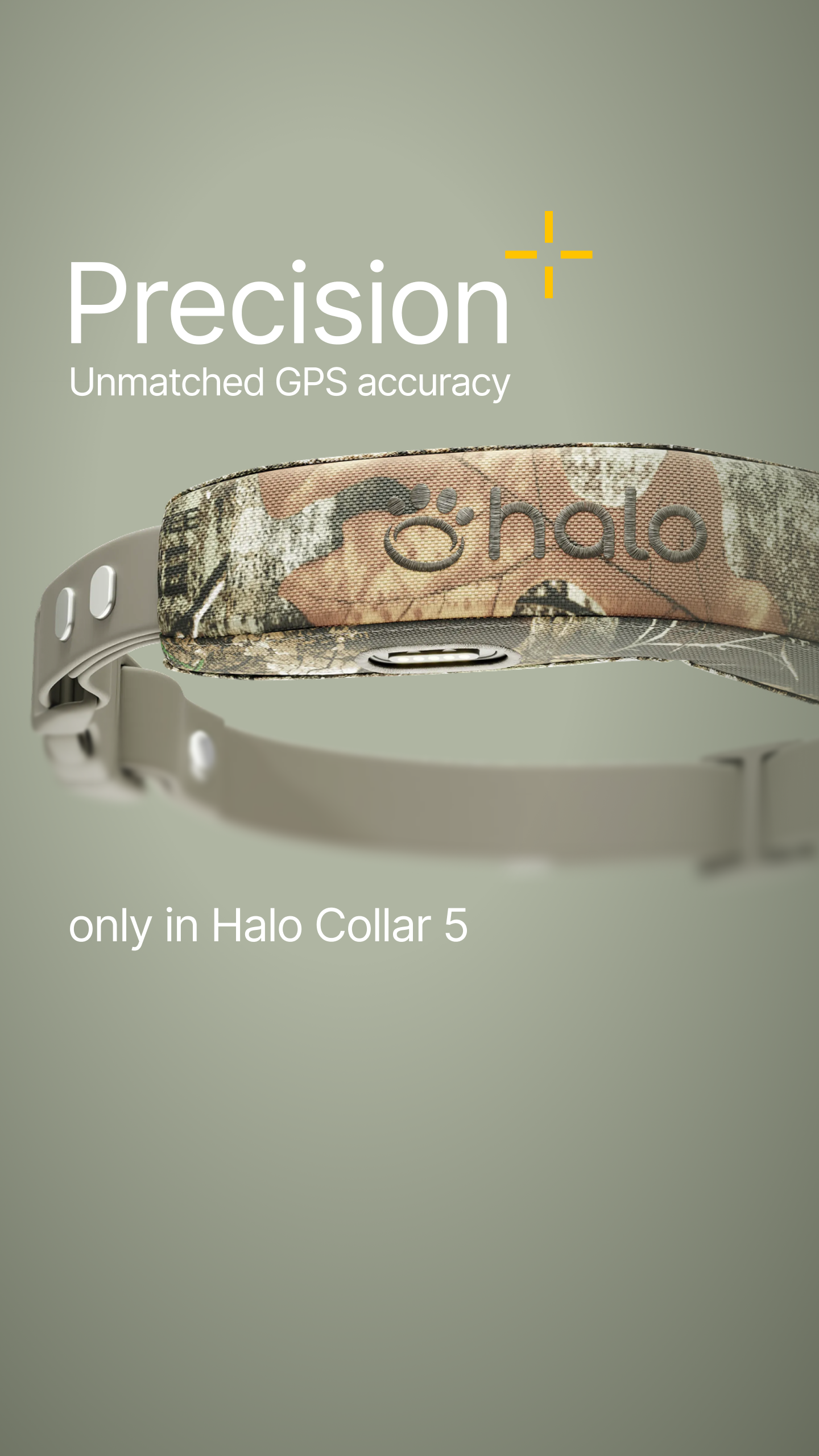 Halo Collar Facebook ad