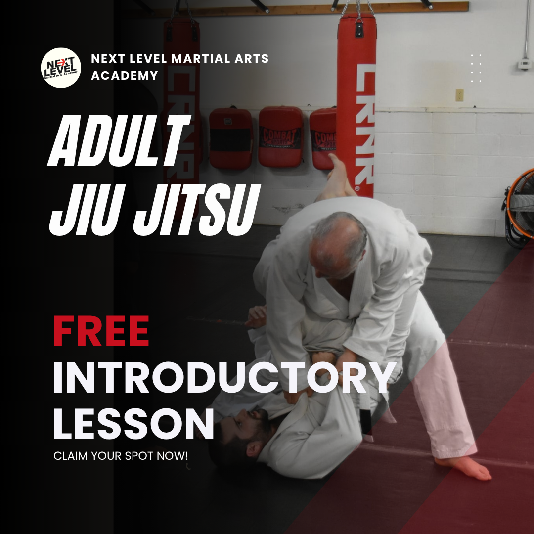 Next Level Martial Arts Facebook ad