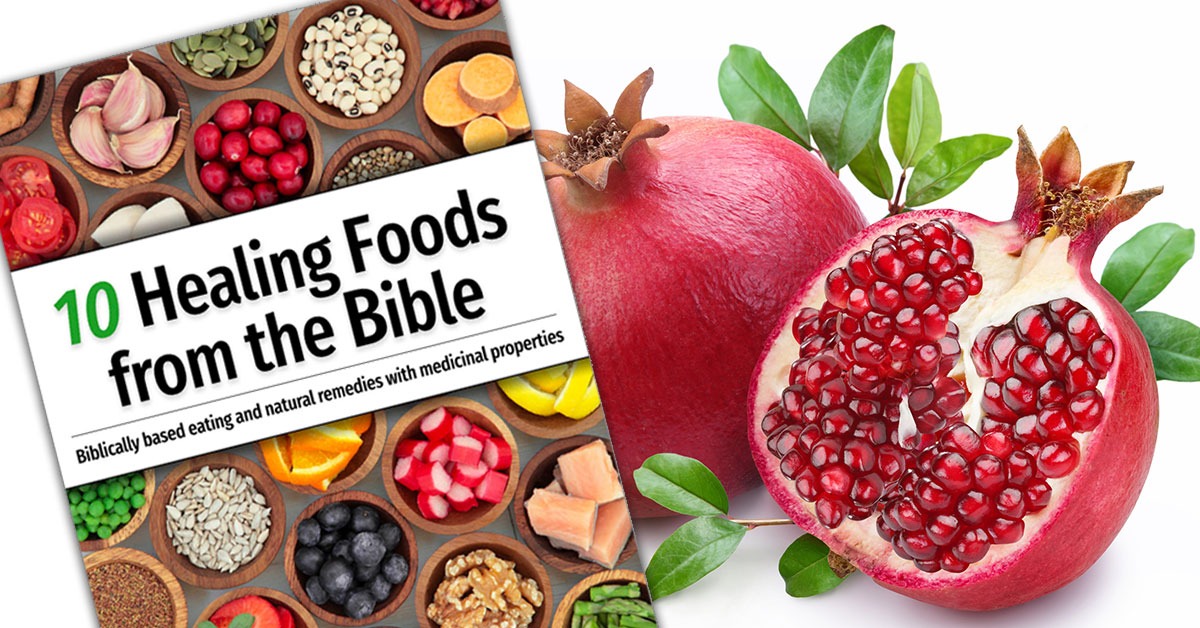 BibleStudyTools.com Facebook ad