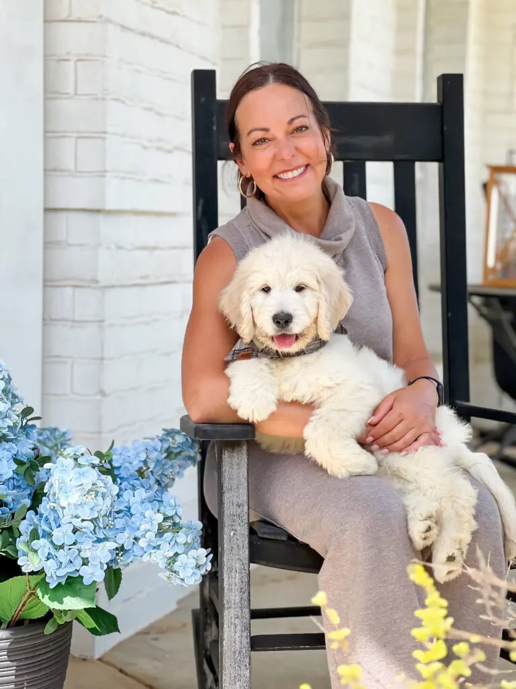 Smeraglia's Teddy Bear Goldendoodles & Schnoodles Facebook ad