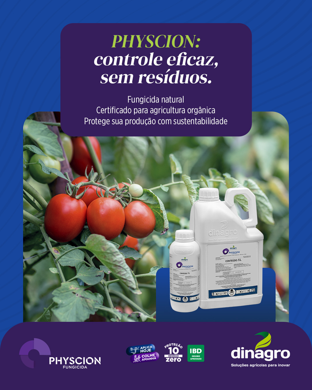 Dinagro Facebook ad