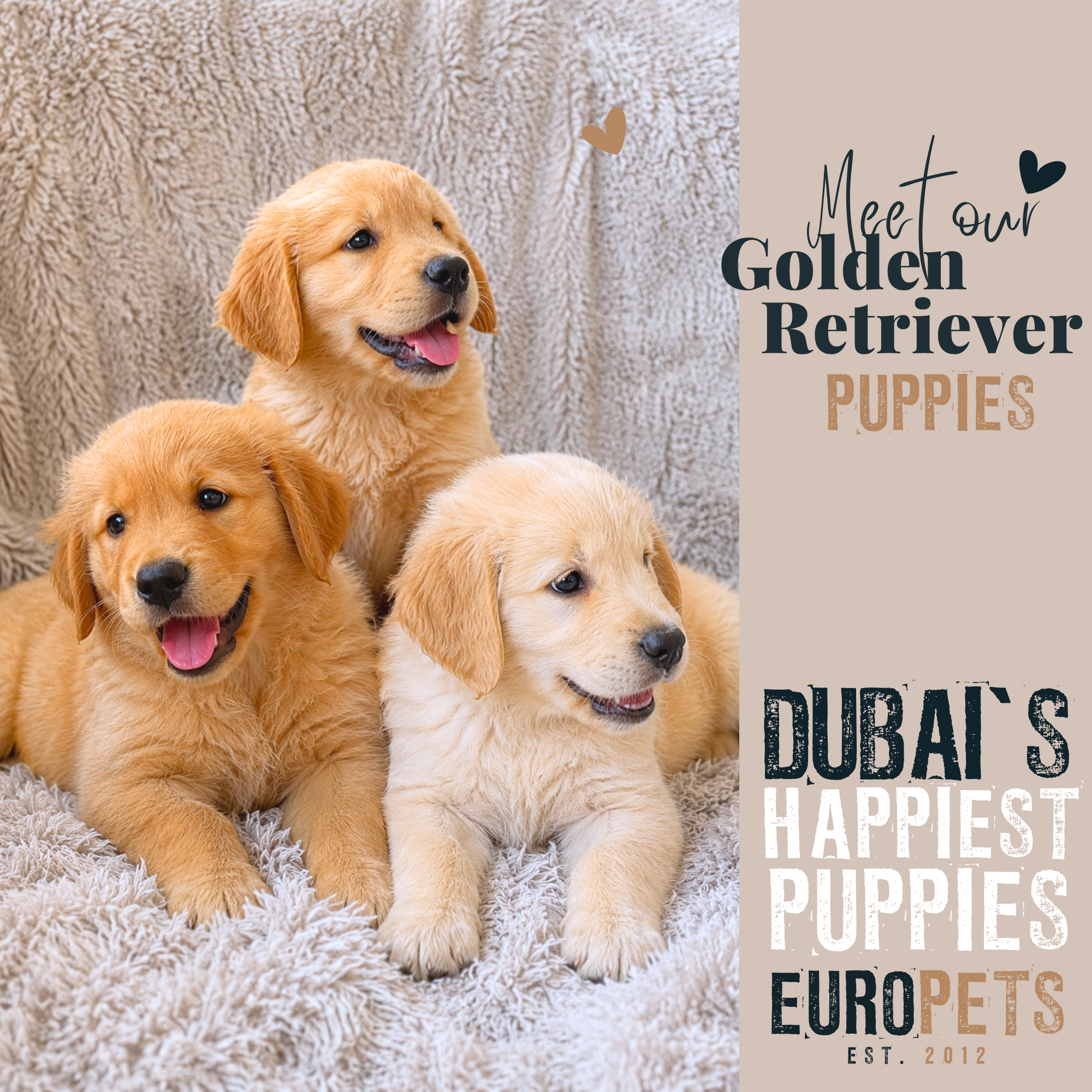 EuroPets Facebook ad