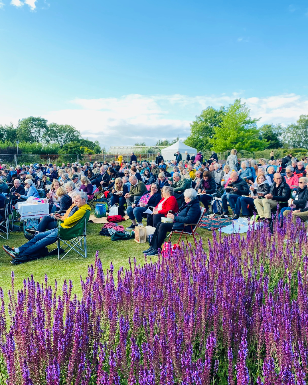 Harrogate International Festivals Facebook ad: Grab your picnic rug, Pimms and sunhat, and…