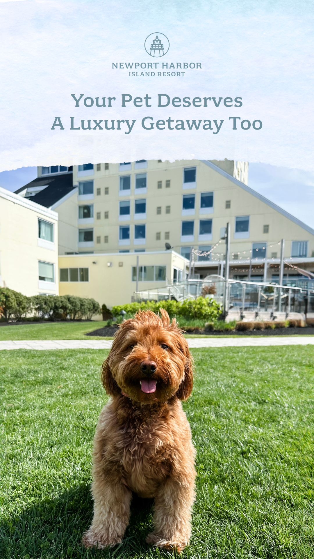 Newport Harbor Island Resort Facebook ad from Jan 20, 2026