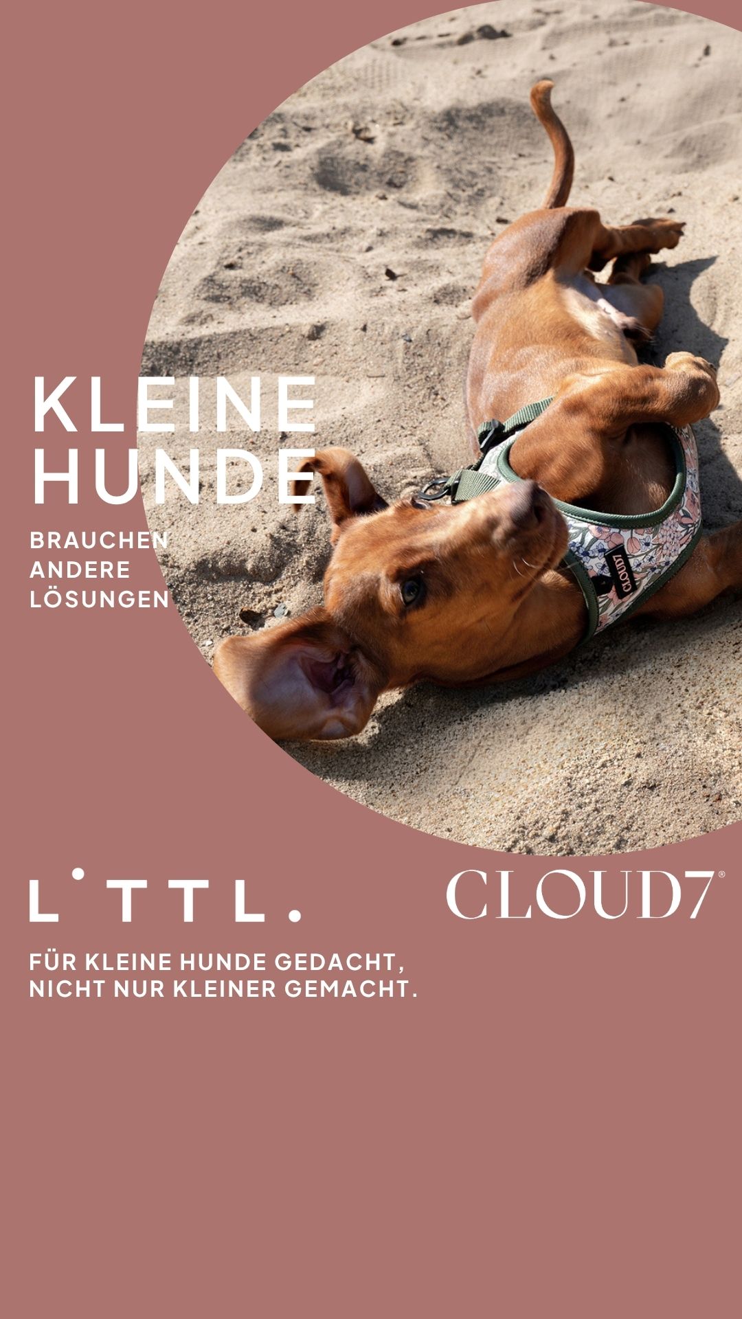 Cloud7 Facebook ad