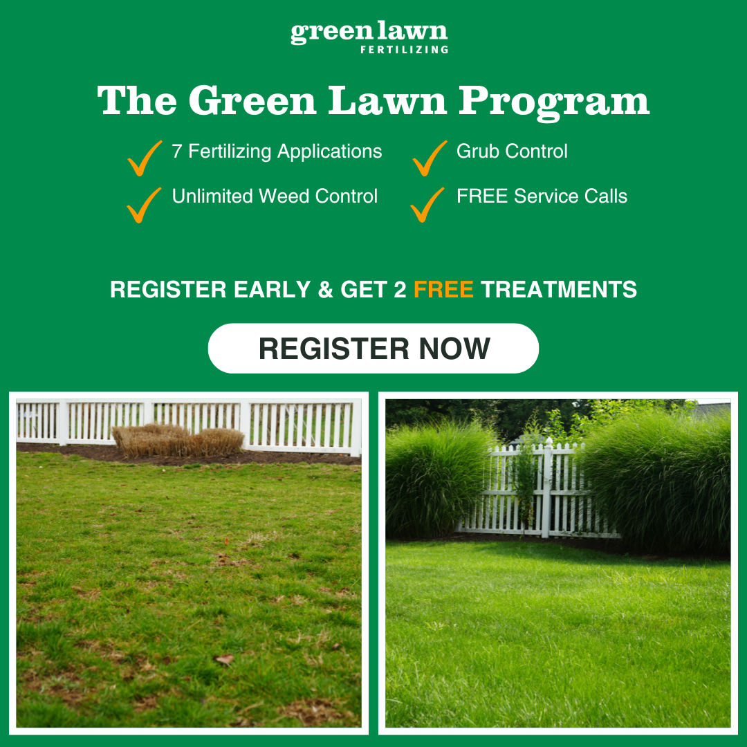 Green Lawn Fertilizing Facebook ad