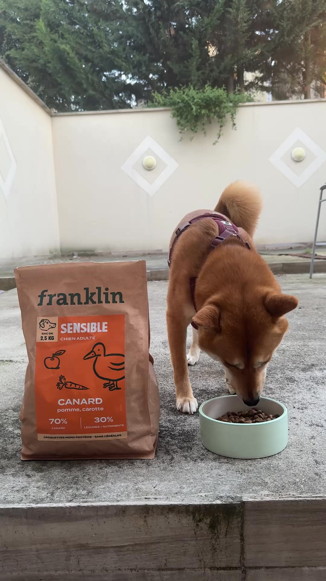 Franklin Pet Food Facebook ad: Le goût qui fait la différence