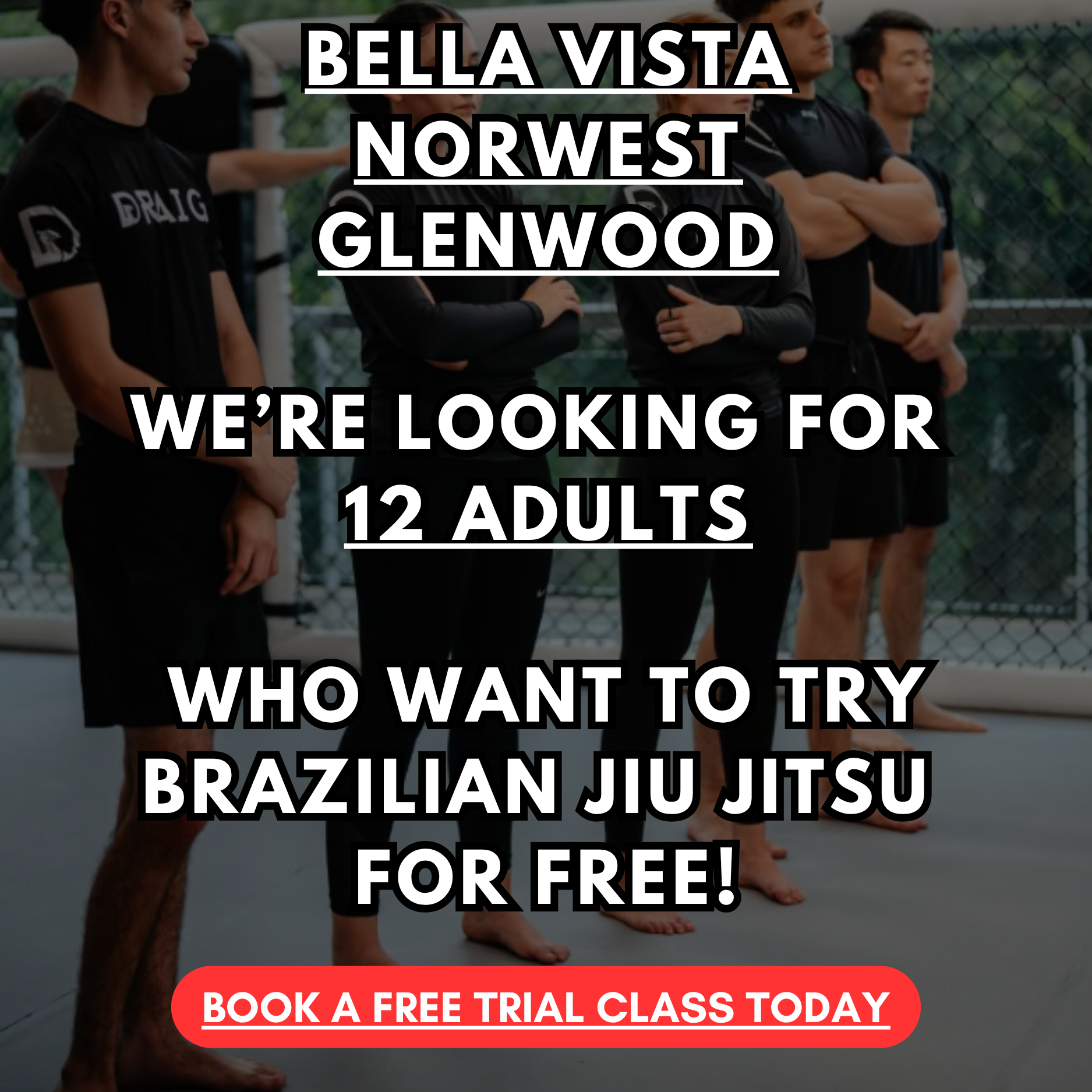 Draig Bella Vista Facebook ad: FREE JIU JITSU CLASS!