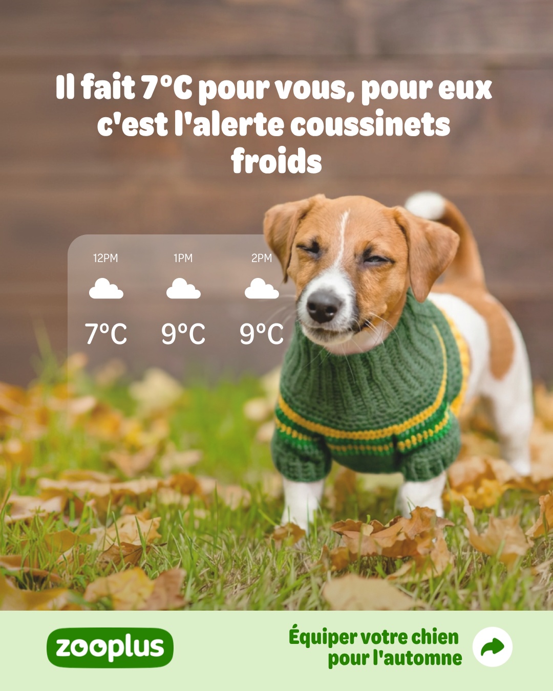 zooplus Facebook ad: Vêtements pour chien pas cher