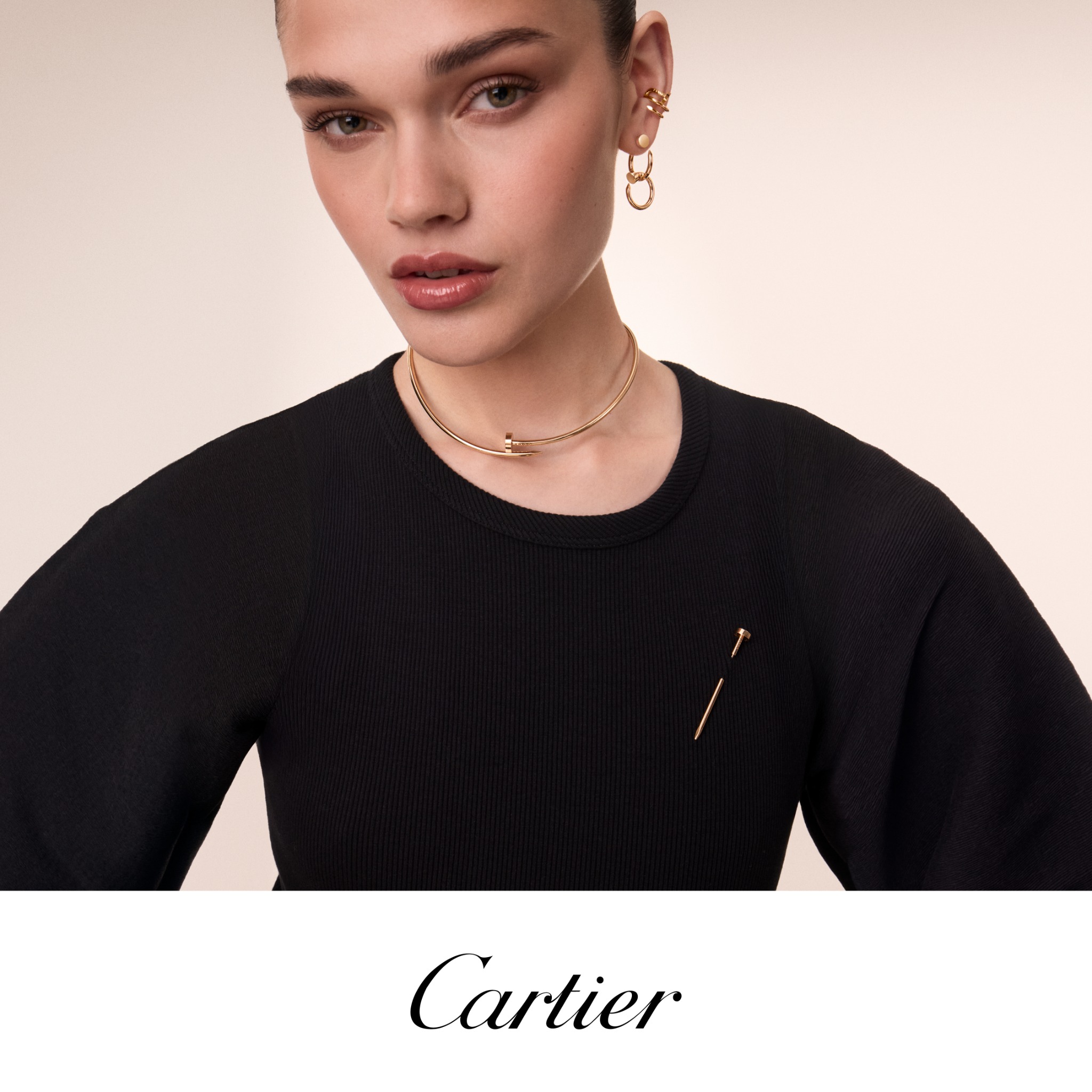 Cartier Facebook ad