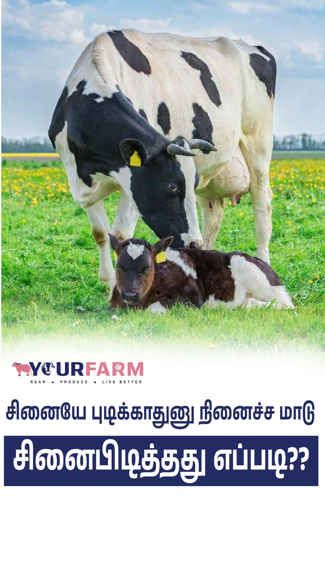YourFarm AgriTech Facebook ad