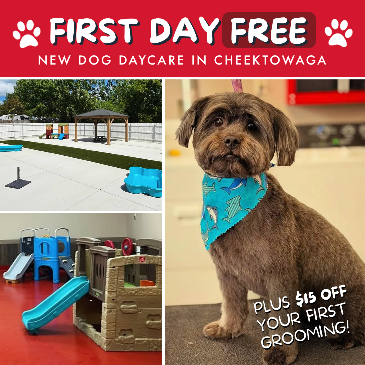 Dog Days of Buffalo Facebook ad: Dog Daycare & Grooming Offer