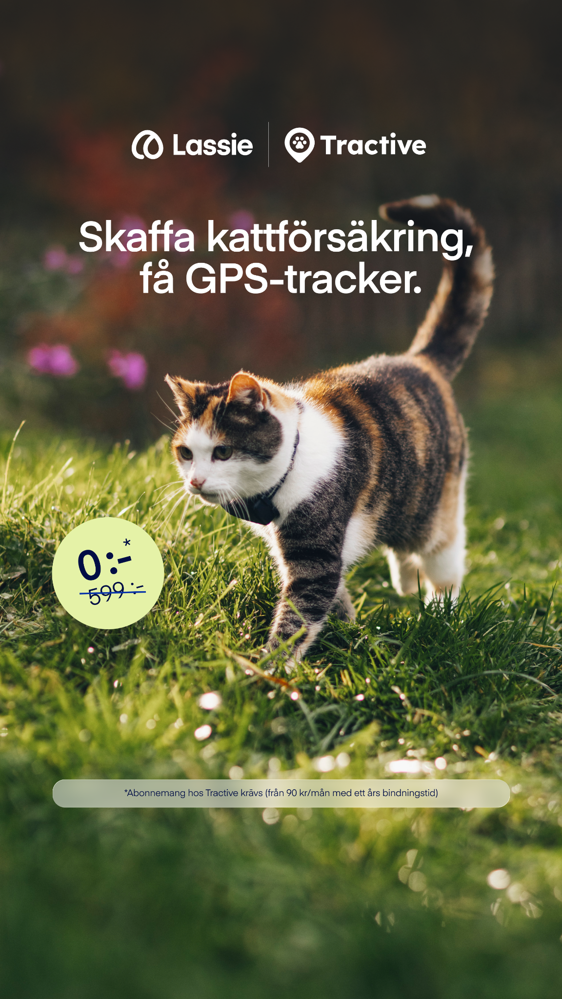 Lassie Facebook ad