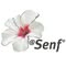 Blumen Senf