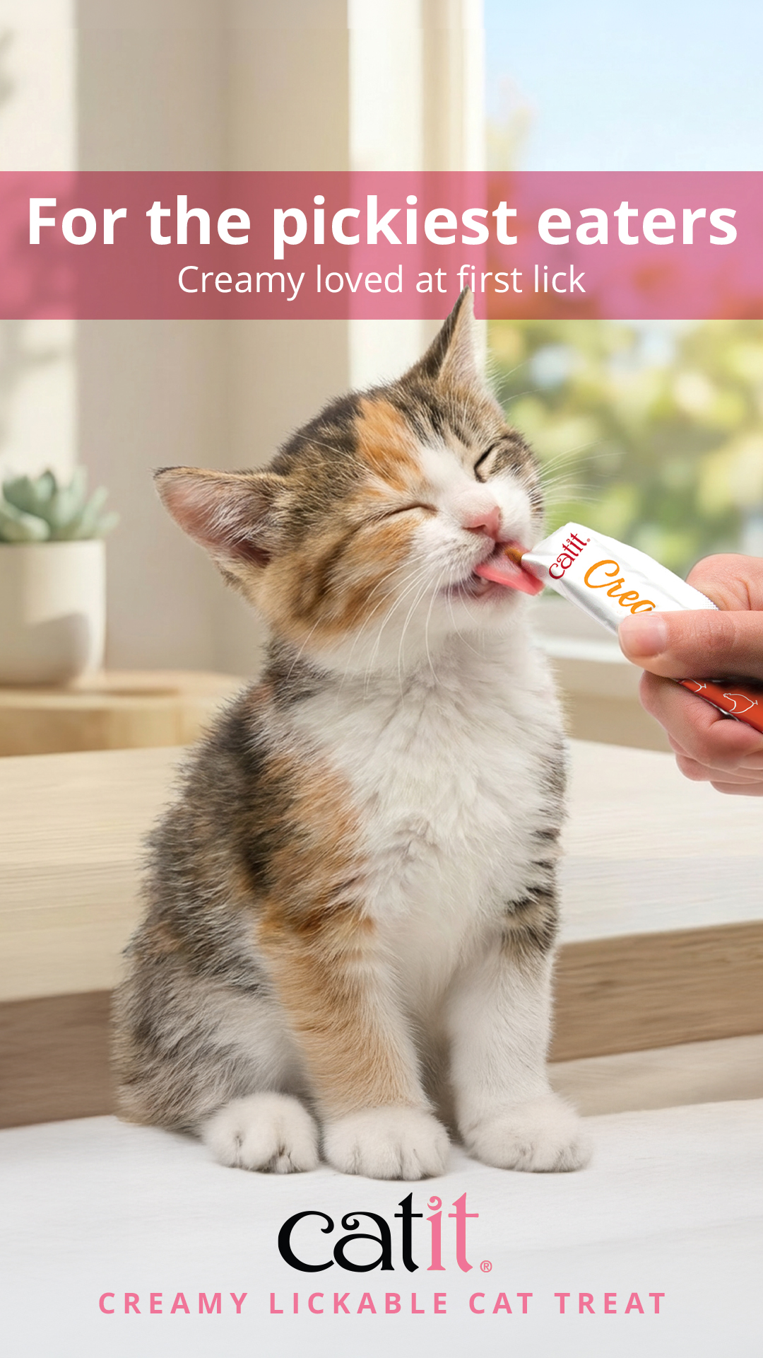 Pet Supplies Plus Facebook ad