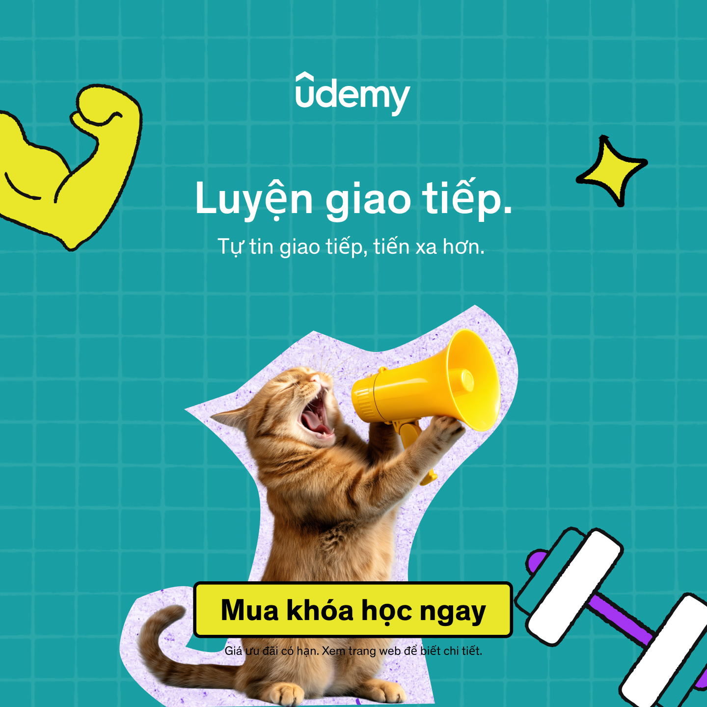 Udemy Vietnam Facebook ad