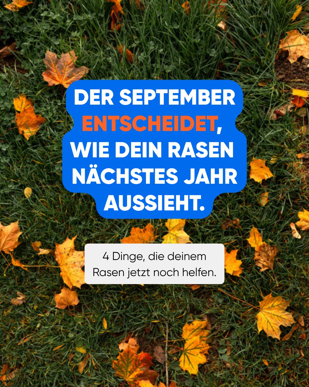 Sunseeker Germany Facebook ad: Was viele unterschätzen: Nach einem heißen Sommer braucht…