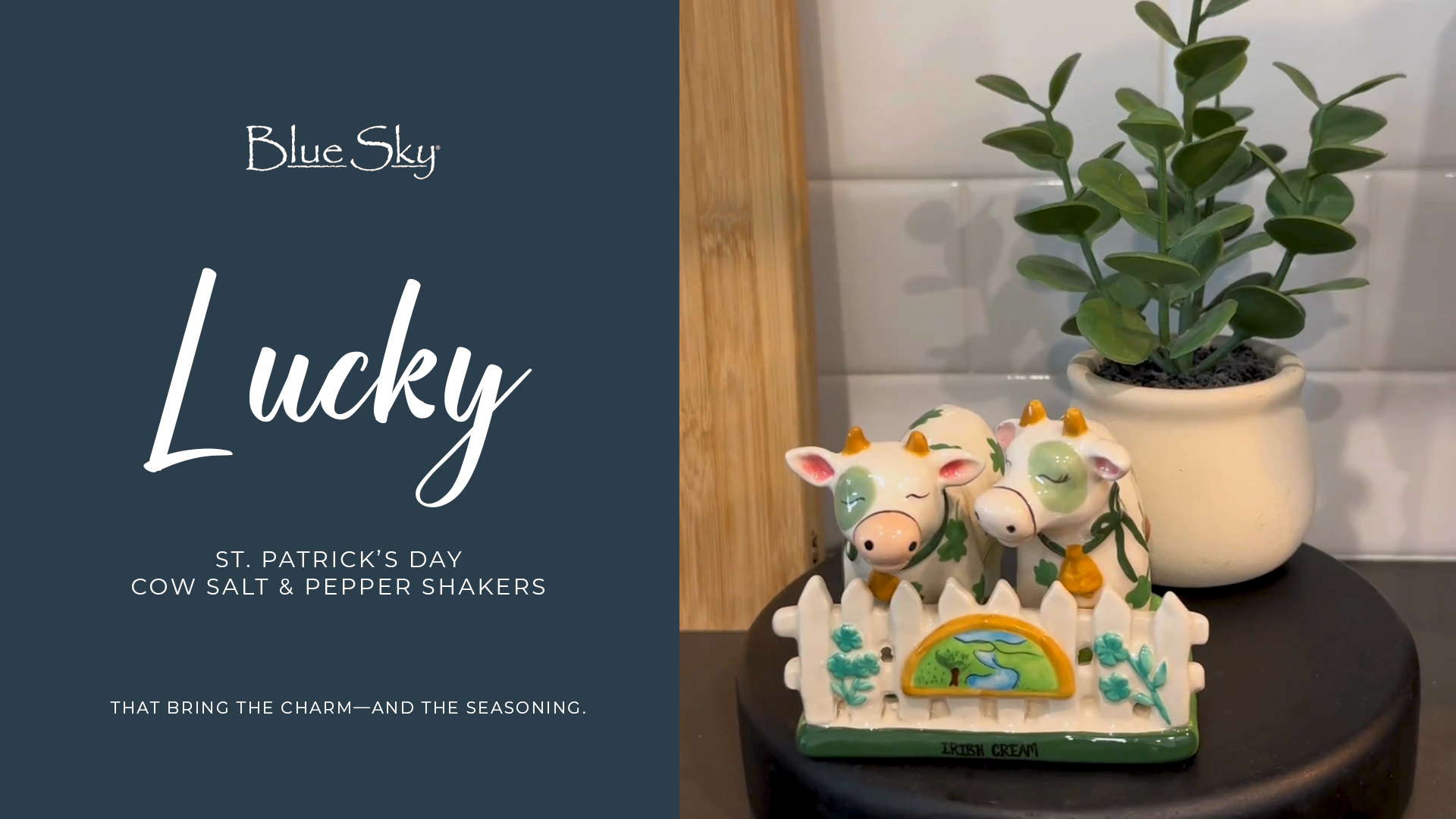 Blue Sky Clayworks Facebook ad from Feb 11, 2026