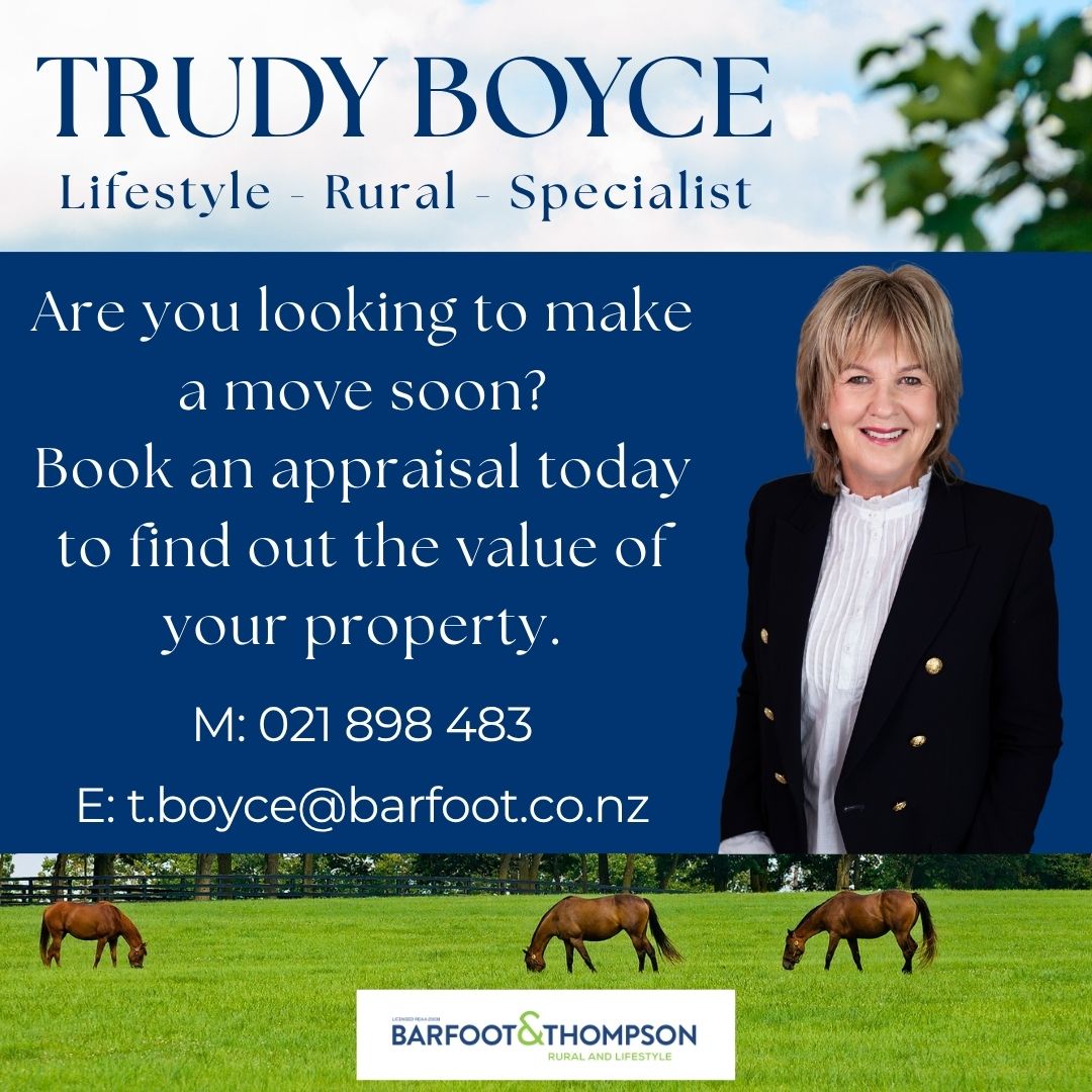 Trudy Boyce Real Estate Facebook ad: Specialised in Selling properties in the Franklin area.