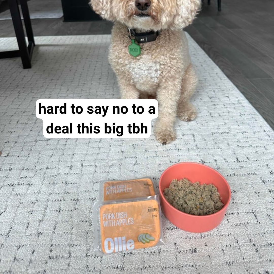 Sophie Hart Facebook ad