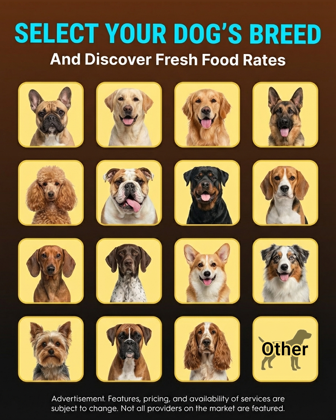 Top10.com - Pet Food Facebook ad